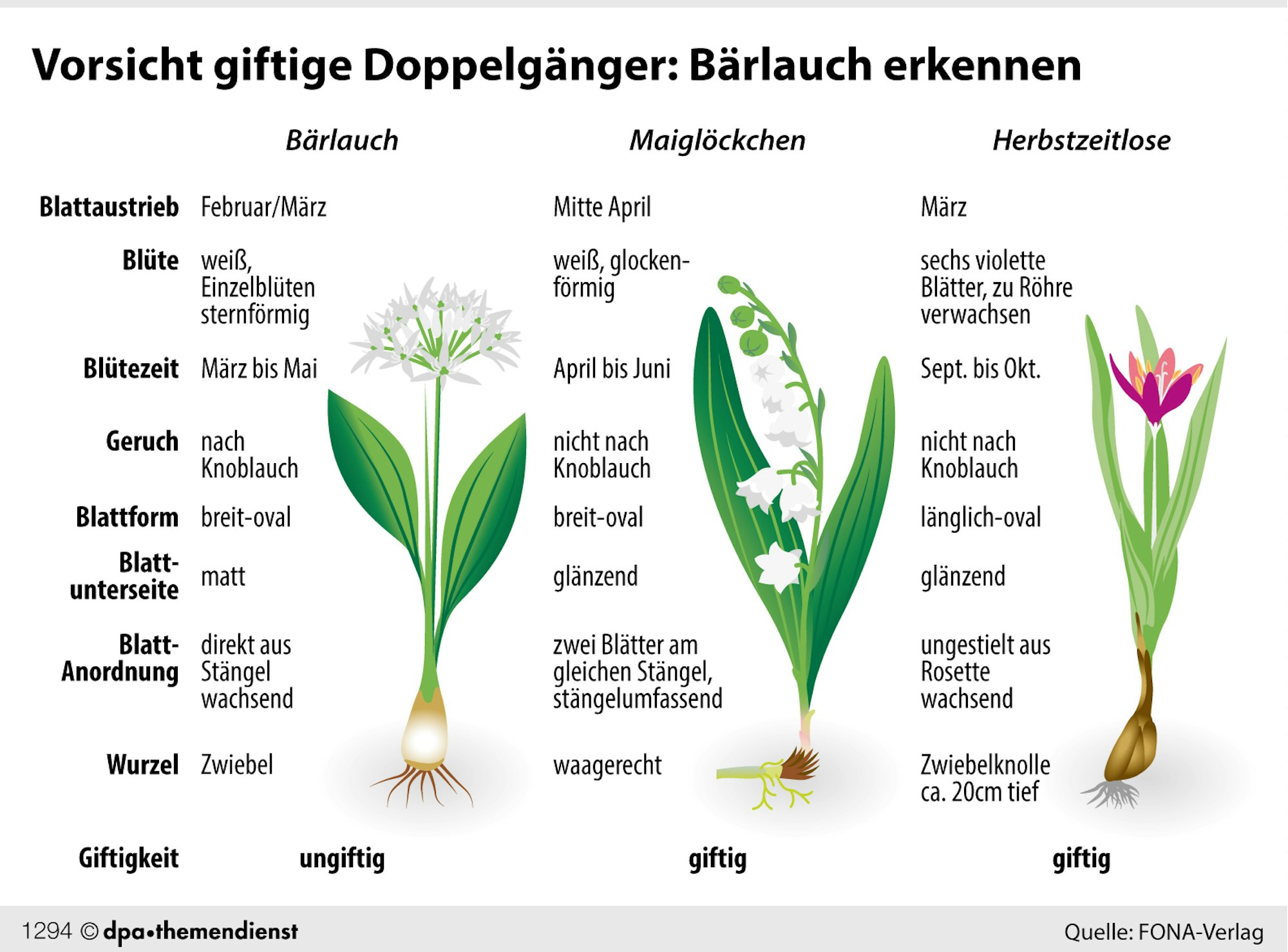 Aehnliche_Blaetter_D_69118205