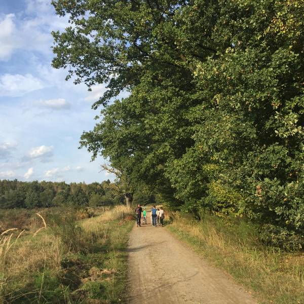 Wahner Heide Reiche 2018-3