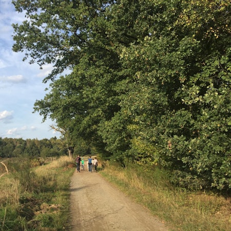 Wahner Heide Reiche 2018-3