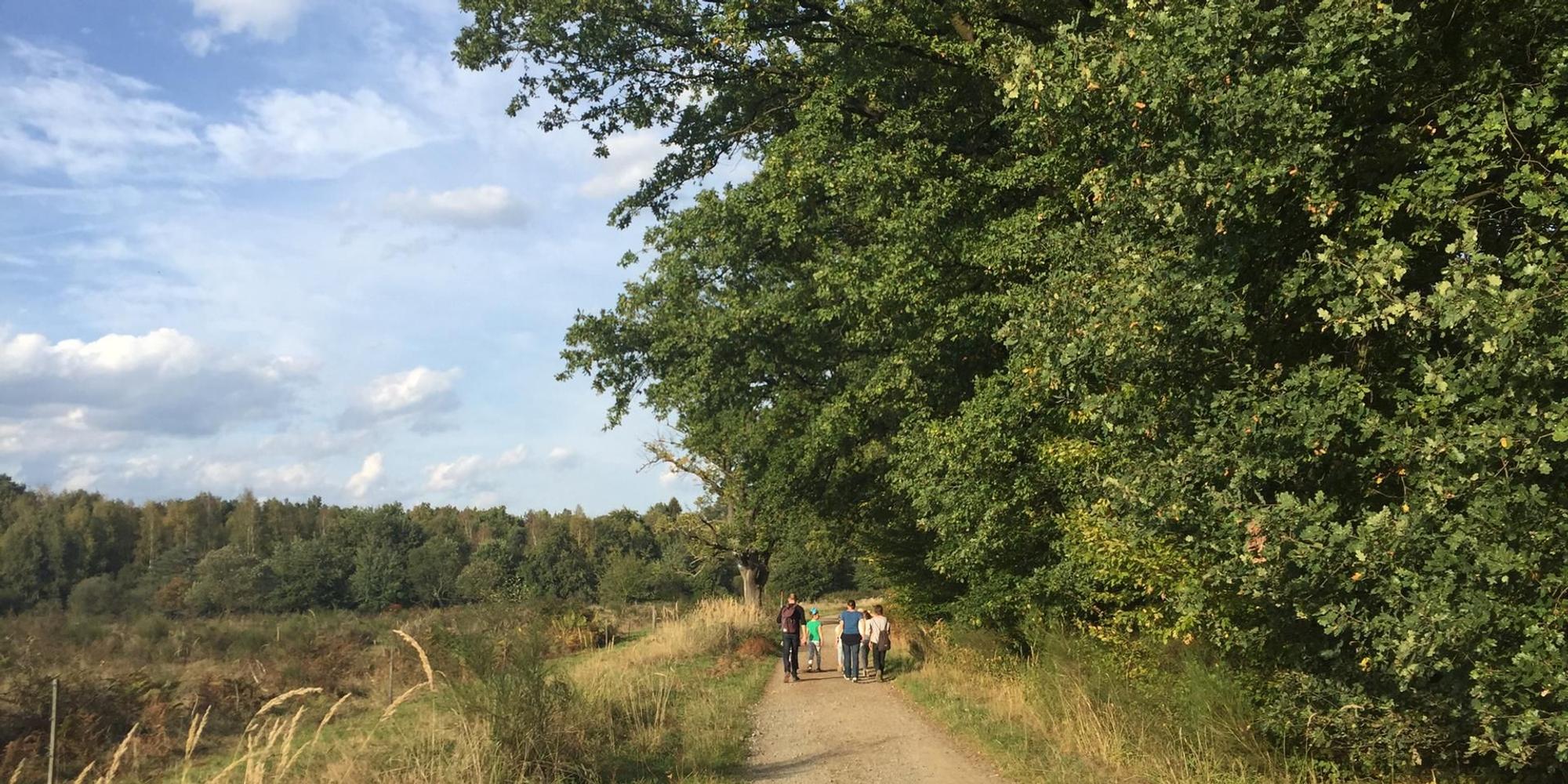 Wahner Heide Reiche 2018-3