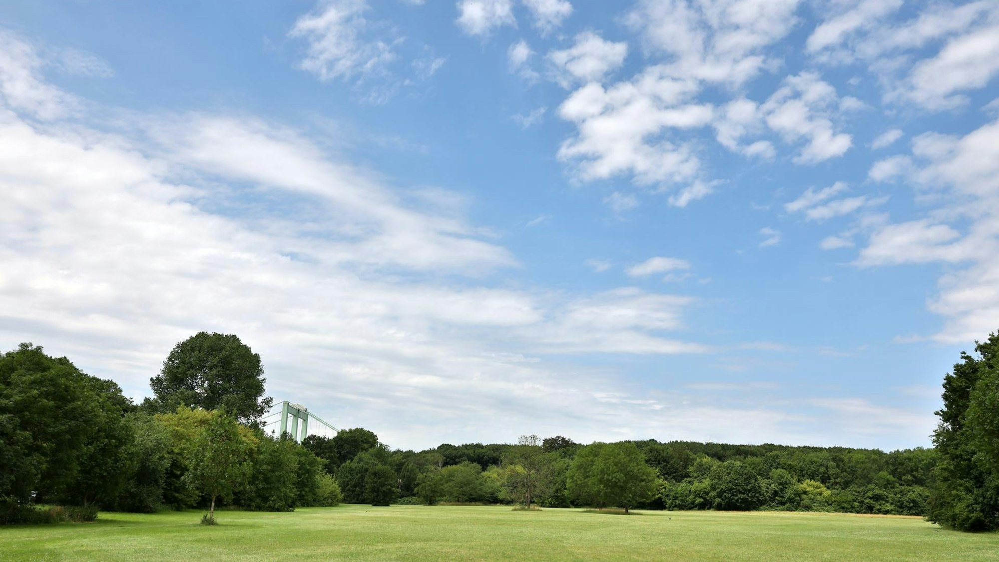 grüne Wiese mit blauem Himmel darüber