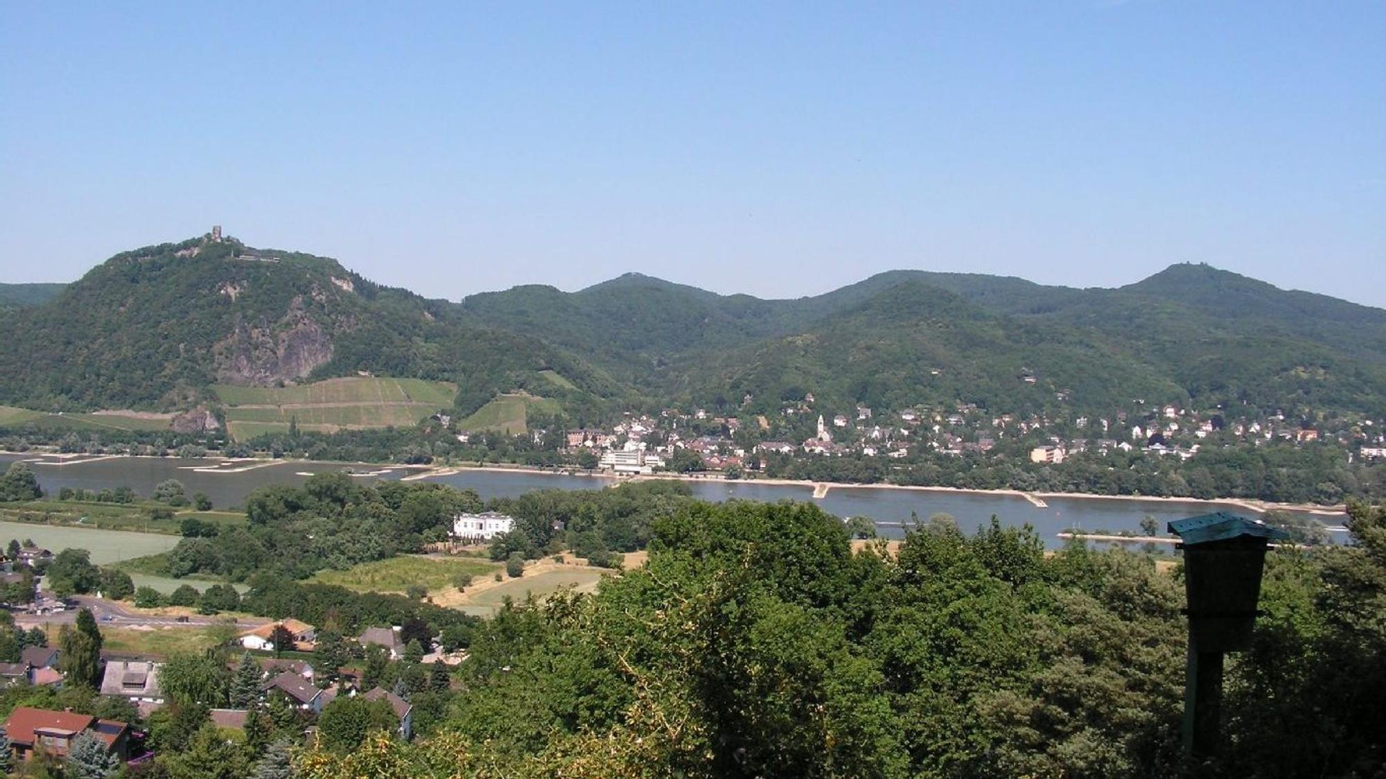 Blick auf eine Rheinlandschaft mit Bergen im Hintergrund