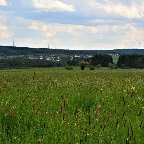 Windpark_Dahlem_IV