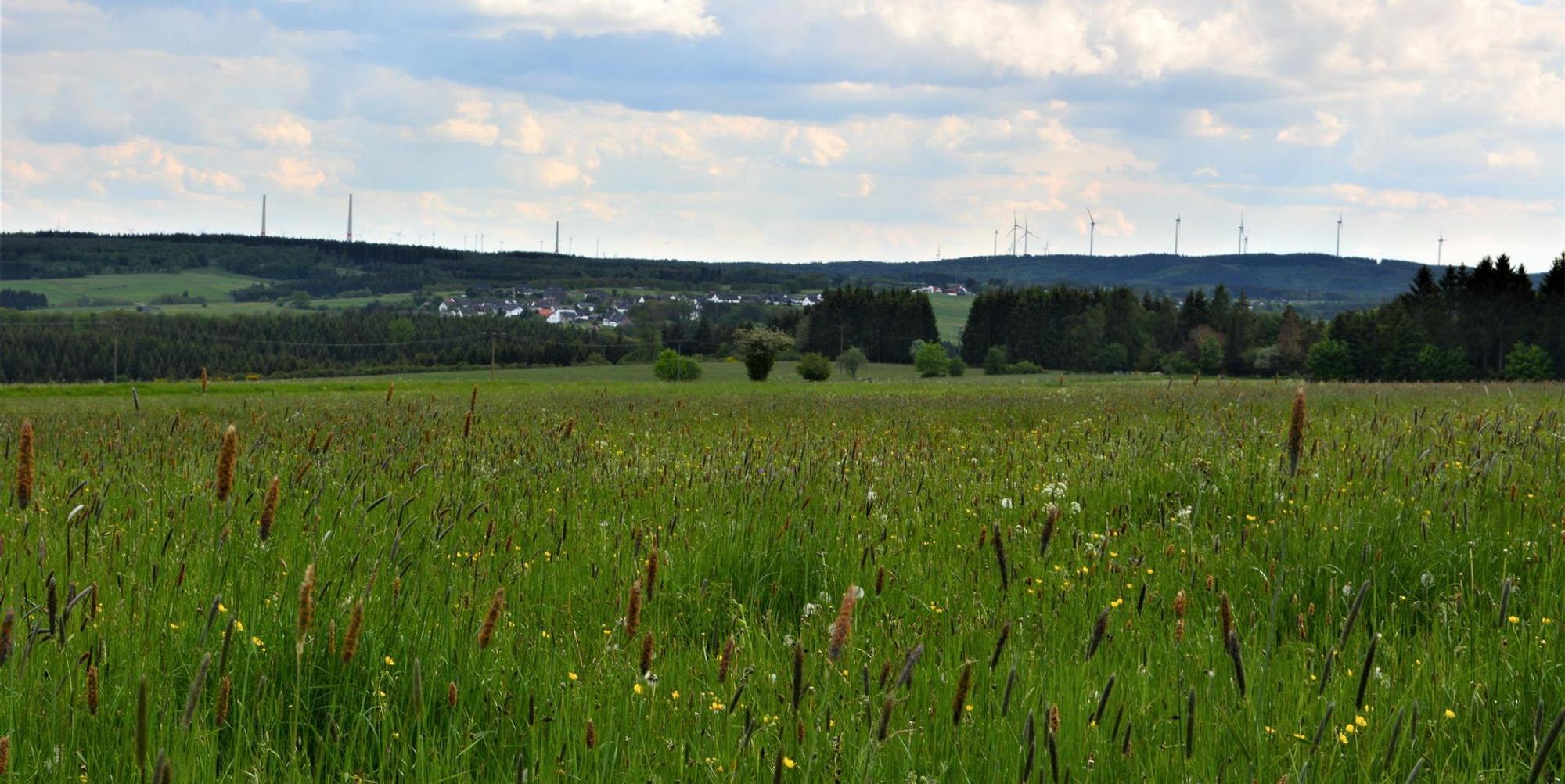 Windpark_Dahlem_IV