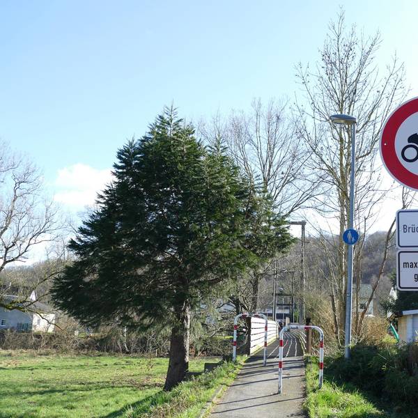 Neuer Inhalt (1)