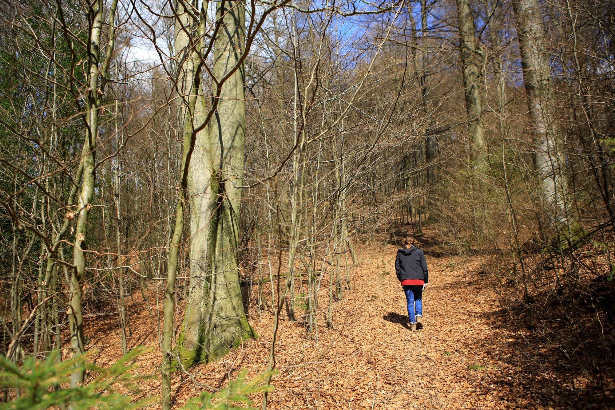 Marienheide