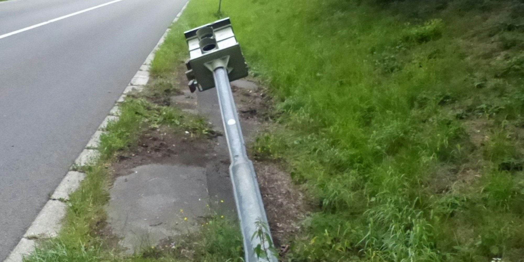 zerstoerterStarenkasten_jpg