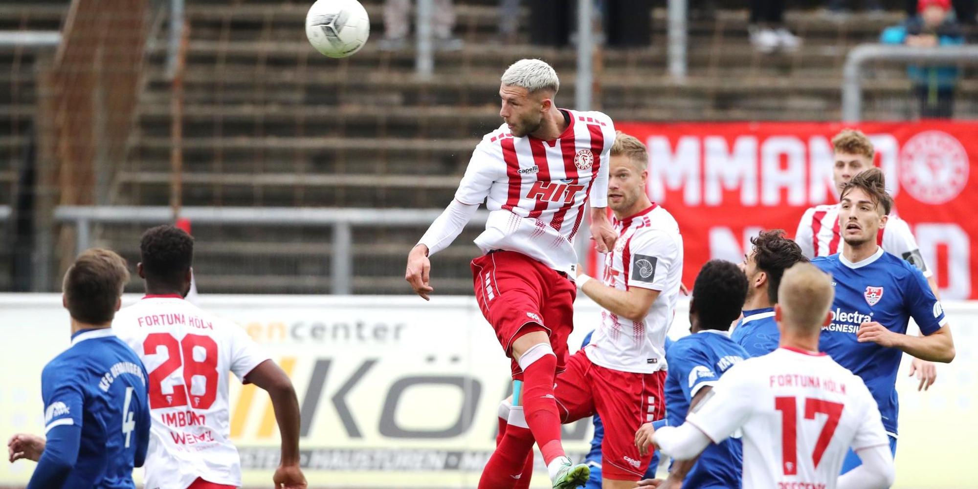 Dominik Lanius