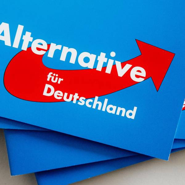 AfD Kritik 121019