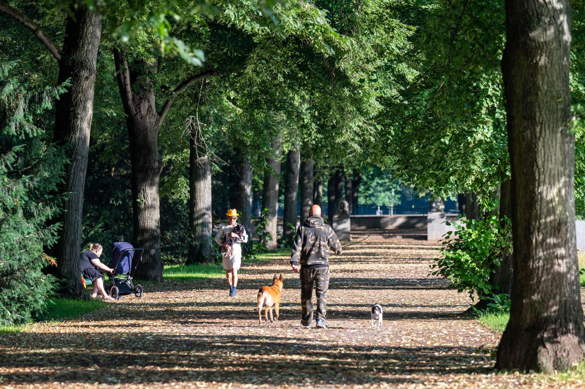 Blücherpark3