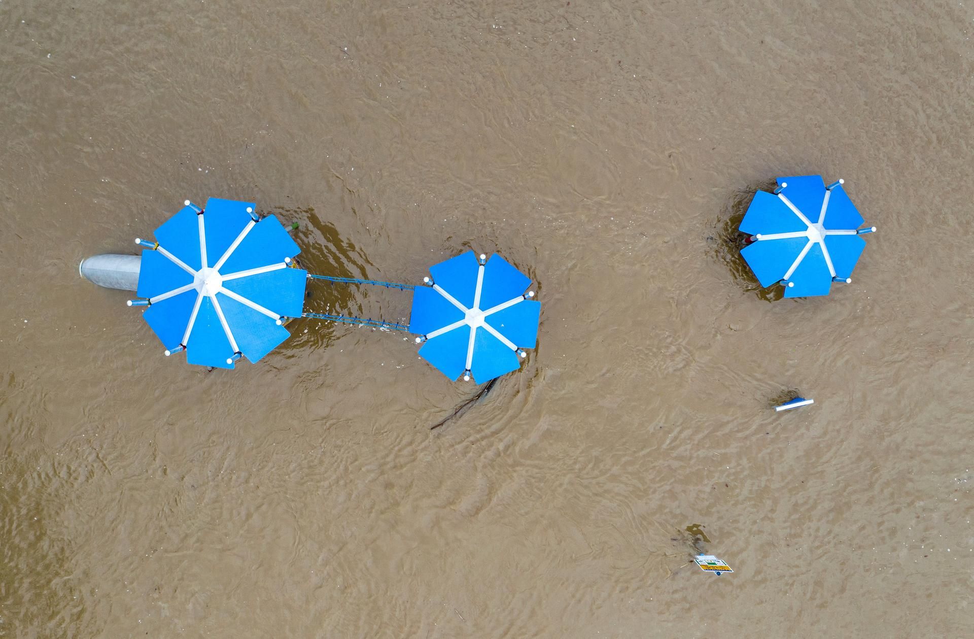 Hochwasser Rhein
