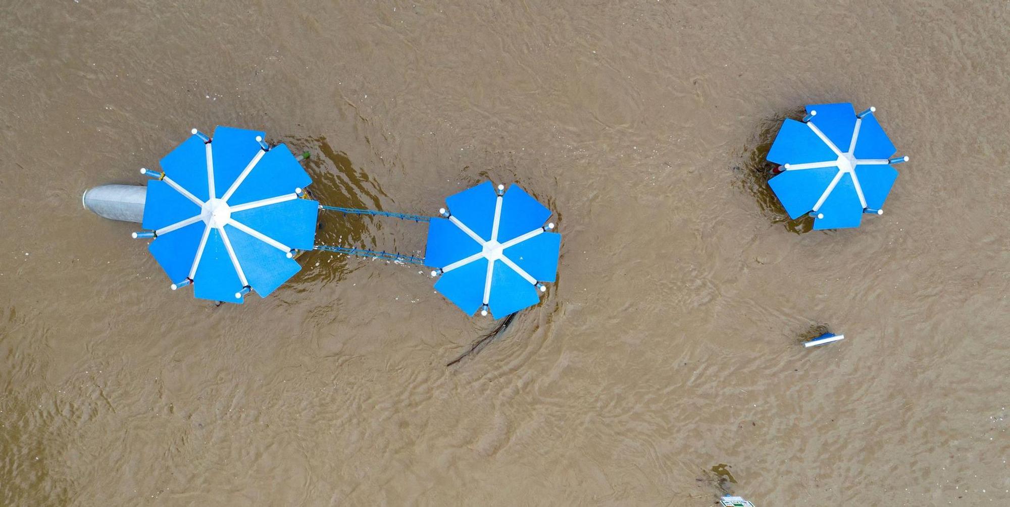 Hochwasser Rhein