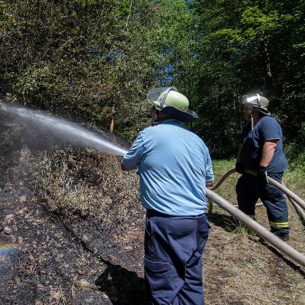 klue_waldbrand_morsbach (3)