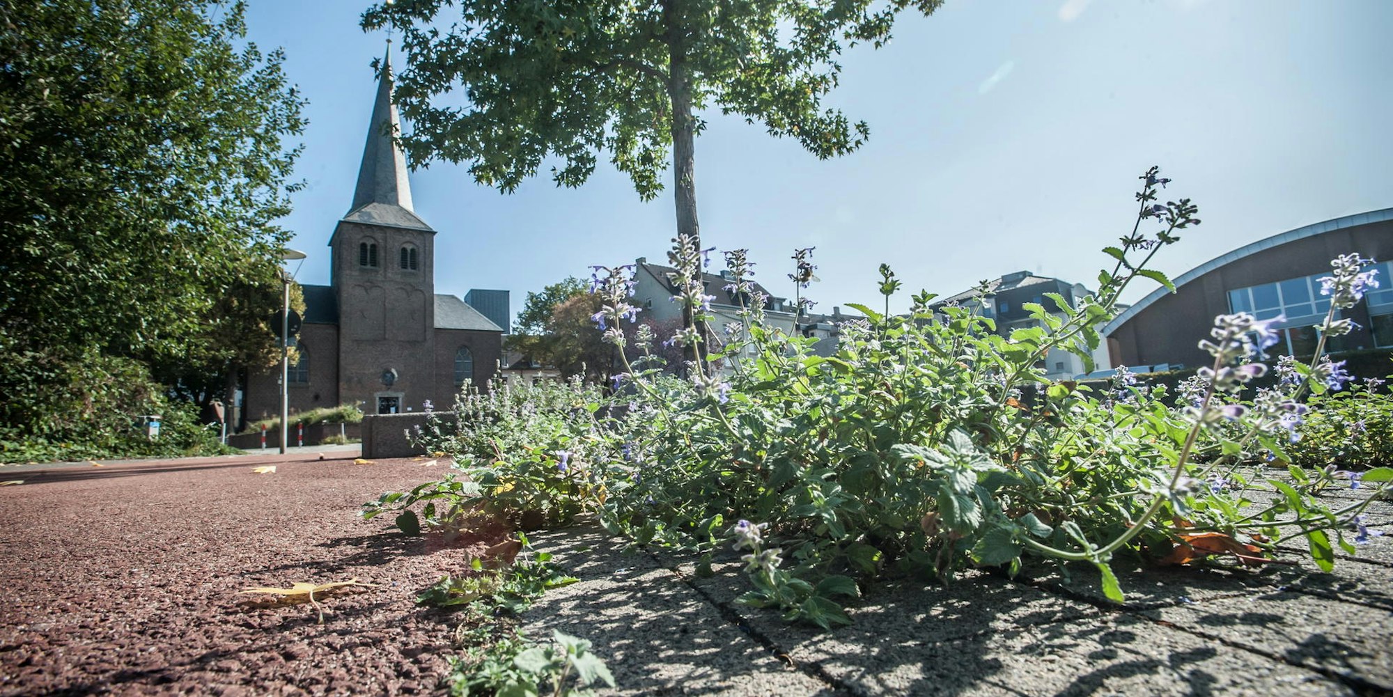 westl-wiesdorf-leverkusen_ALF_8961