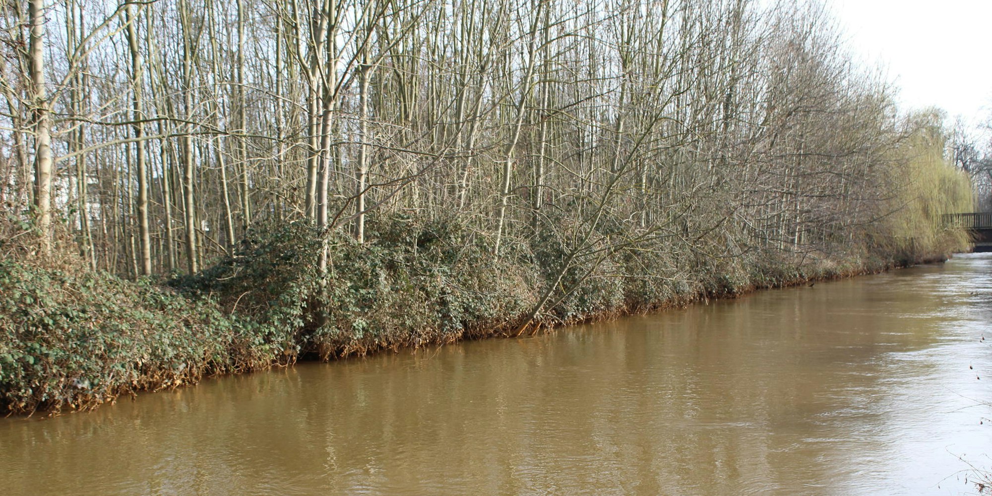 Bergheim Zieverich Erft