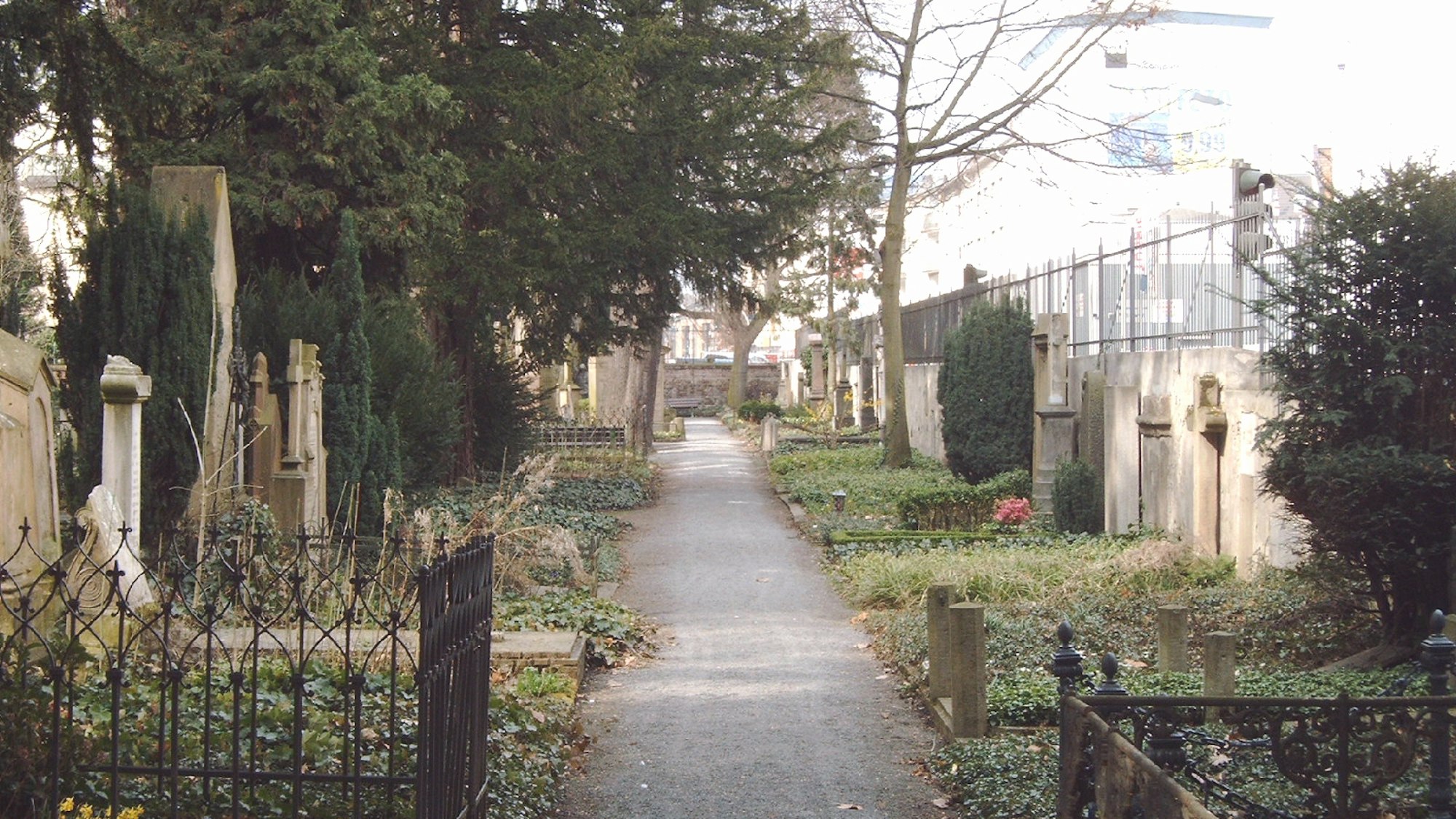 Alter friedhof bonn