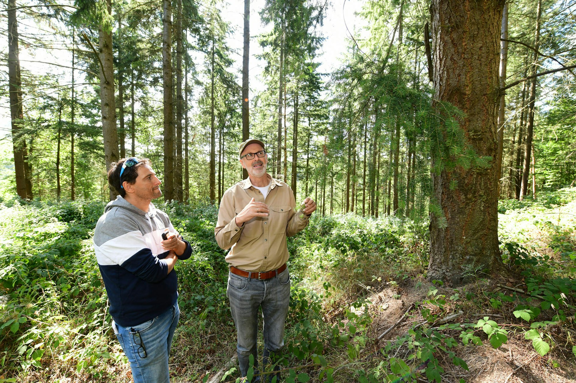 Peter Wohlleben Wanderung Olaf Wull Nickel9