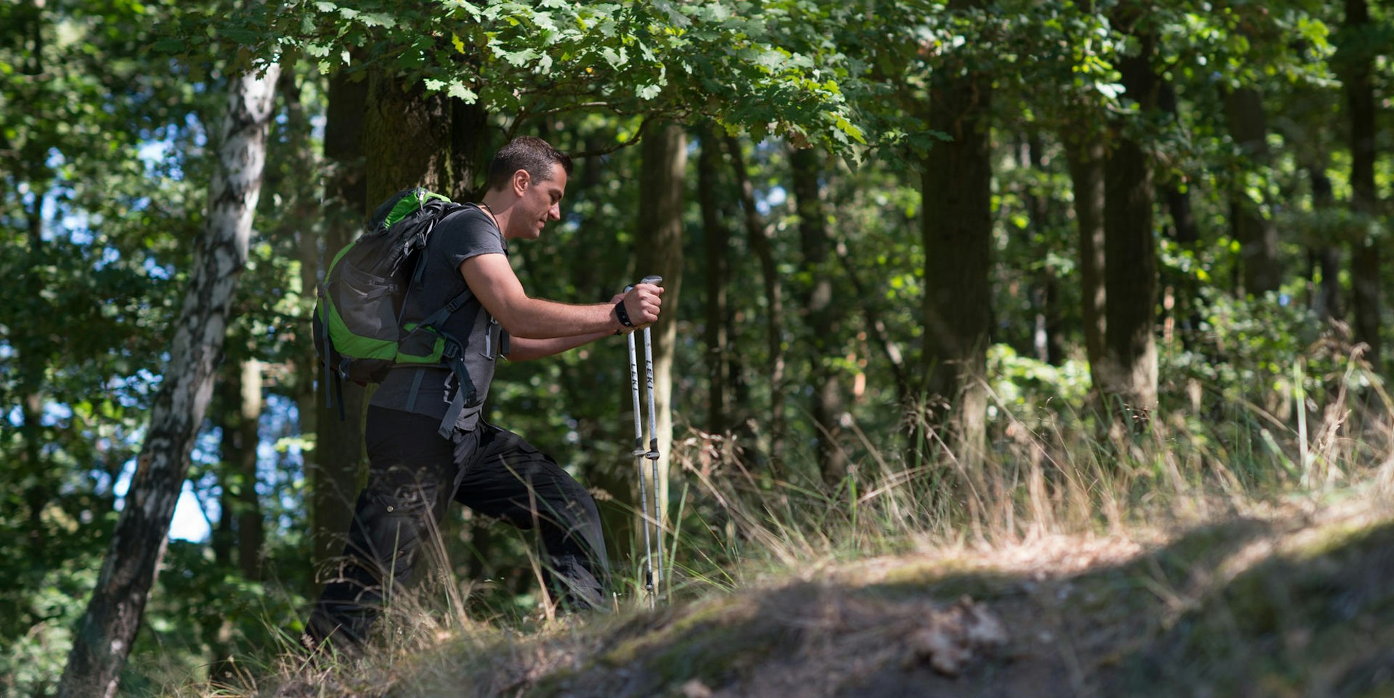 Wanderer im Wald