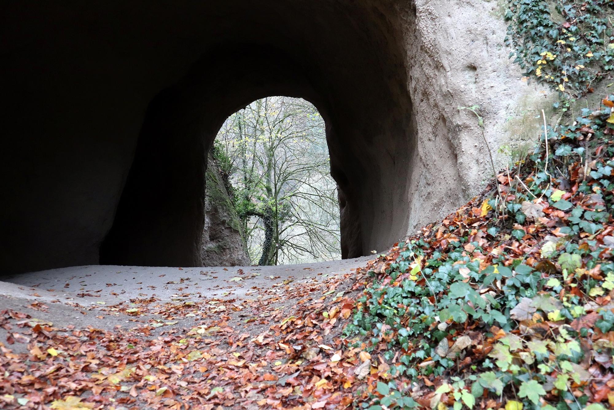 Wanderung Bad Tönisstein Trasshöhlen 1_Hedrich