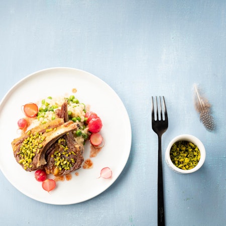 Lammkotelett mit Risotto auf einem Teller angerichtet