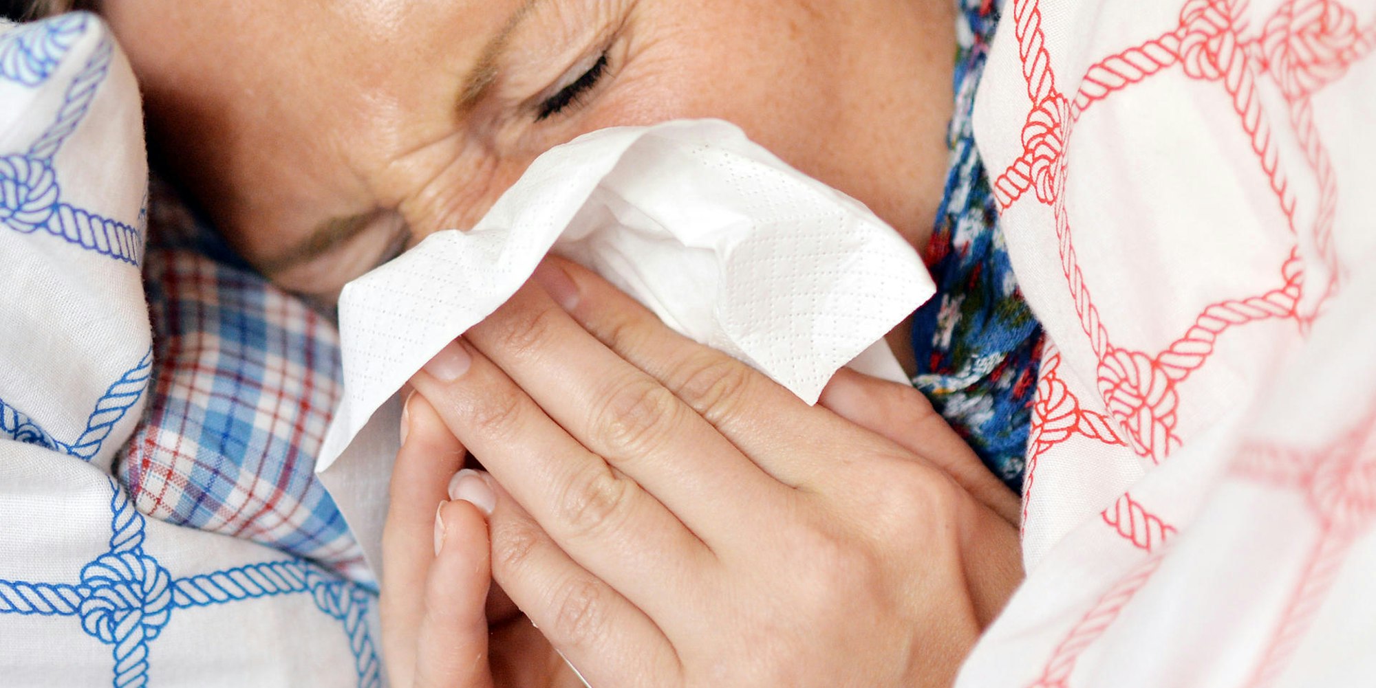 Schnupfen Grippe neu