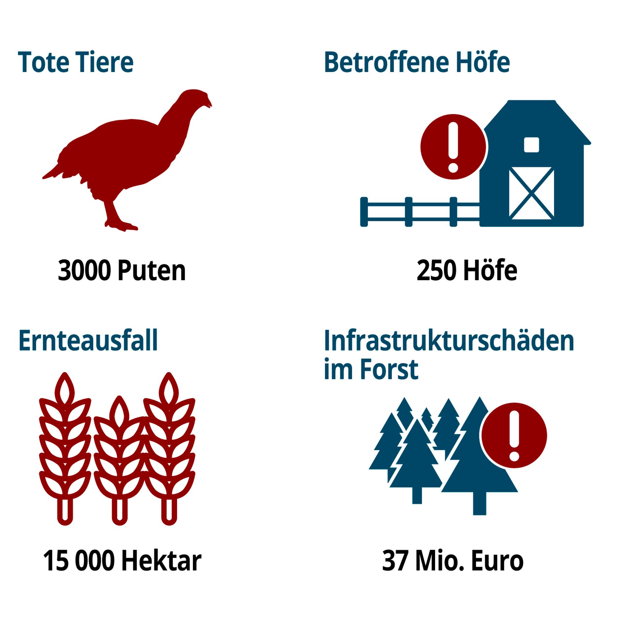 Flut5-Landwirtschaft
