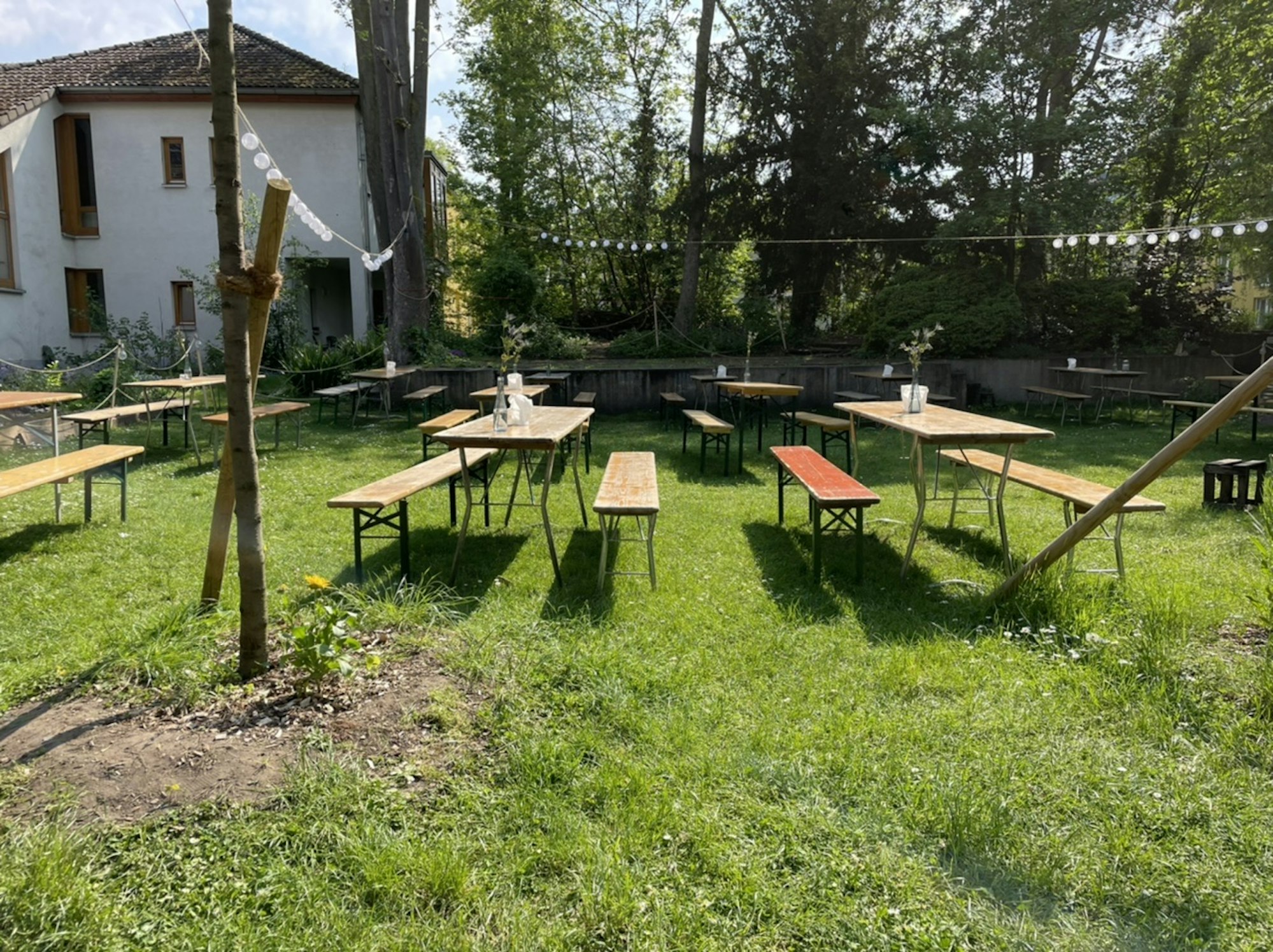 Weingarten Bänke