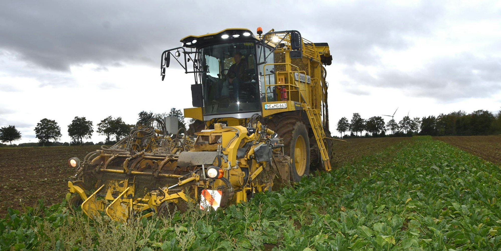 kr-Ruebenernte-FTZ_(18)