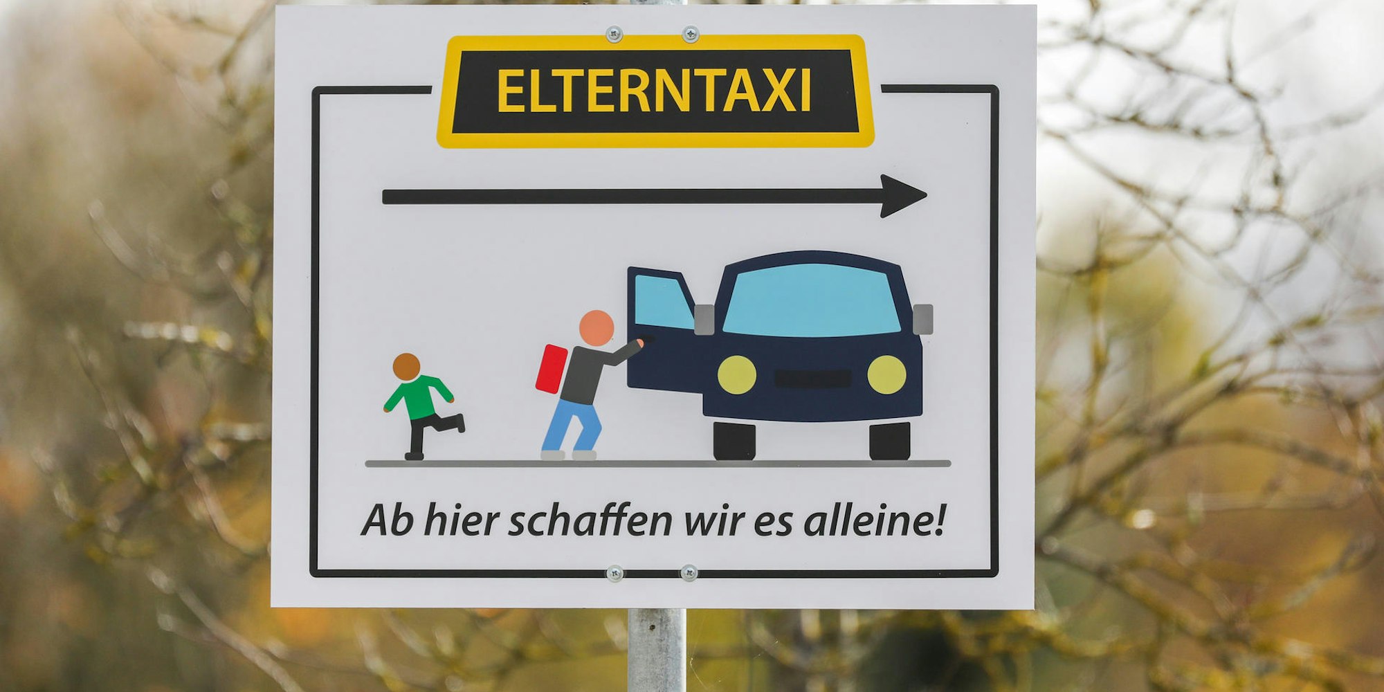 MDS-EXP-2019-11-07-71-154330357