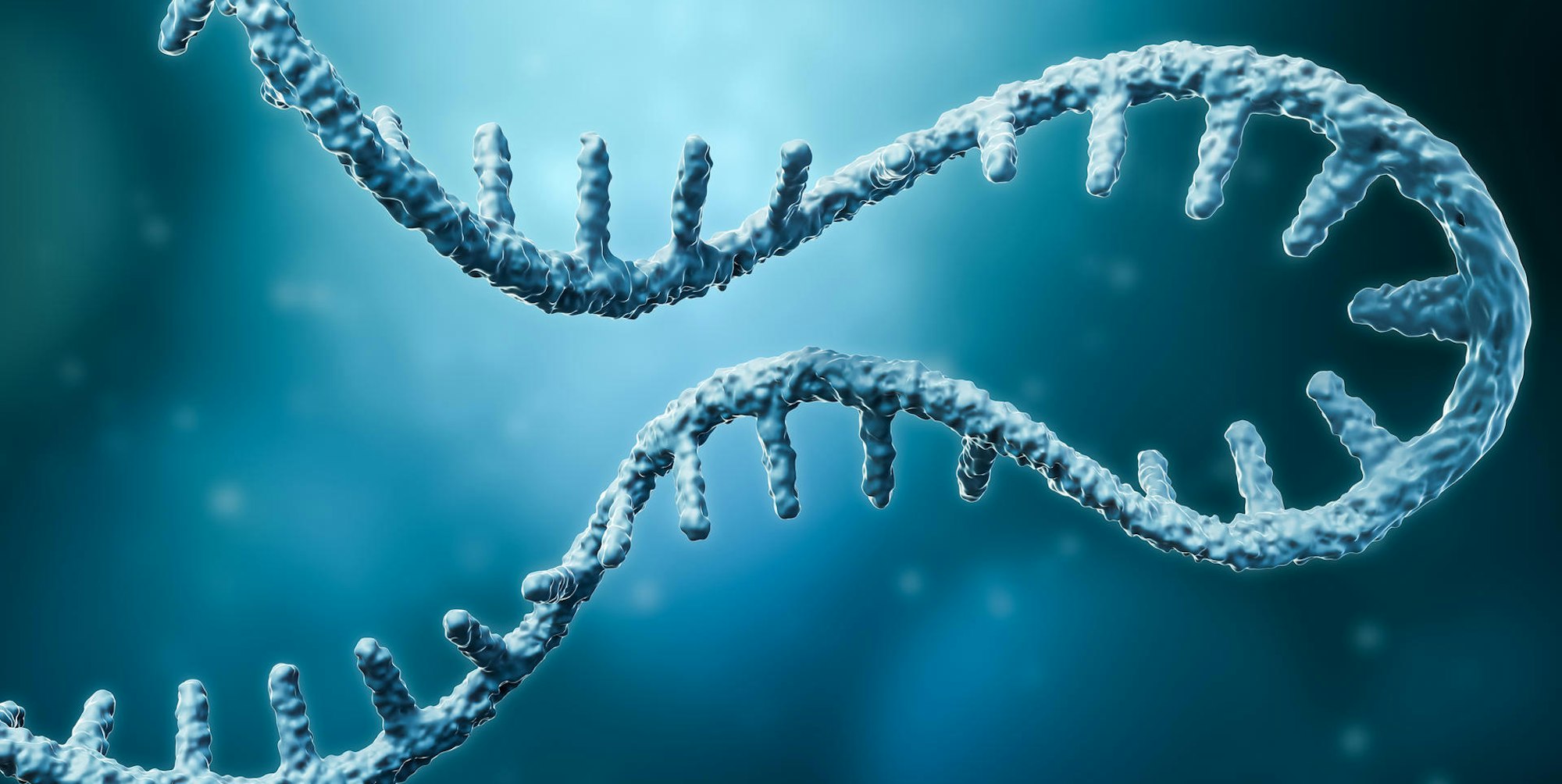 GettyImages-1295693748