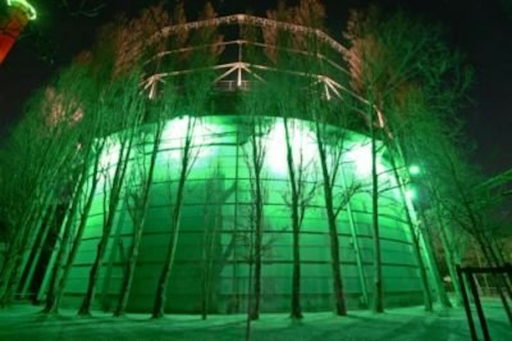 frühlingsgefühle bild 2