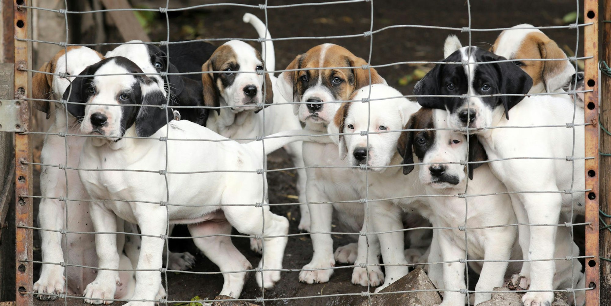 MDS-MZ-2019-10-04-71-152968704