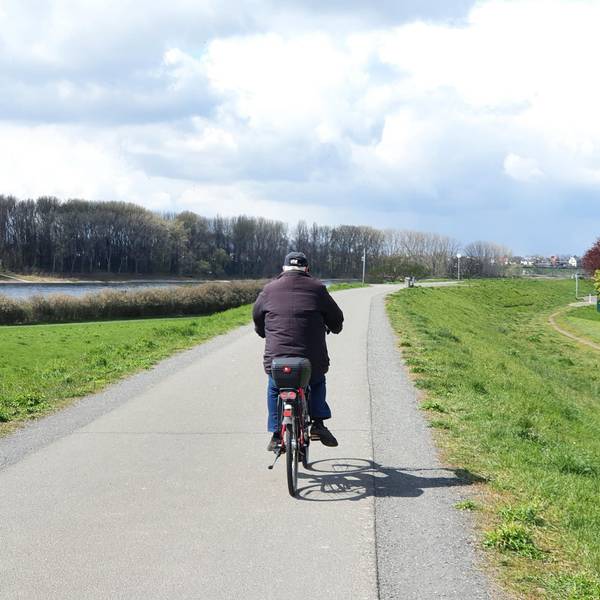 Niederkassel_Radweg_Rheindamm