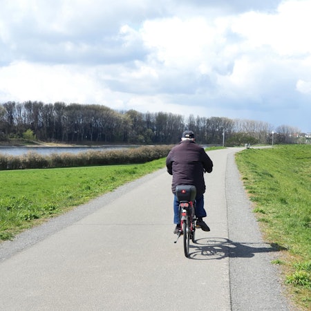 Niederkassel_Radweg_Rheindamm