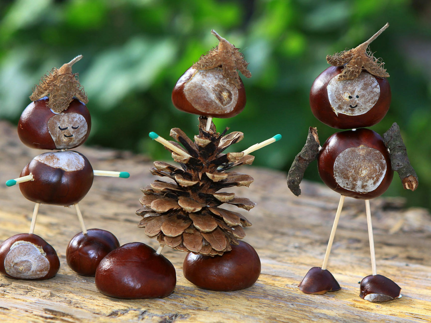 AdobeStock_45481858