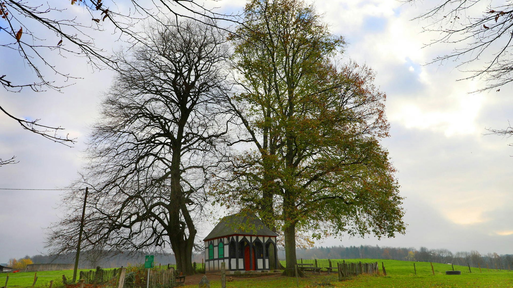 Die Rochskapelle bei Sand zwischen zwei Bäumen.