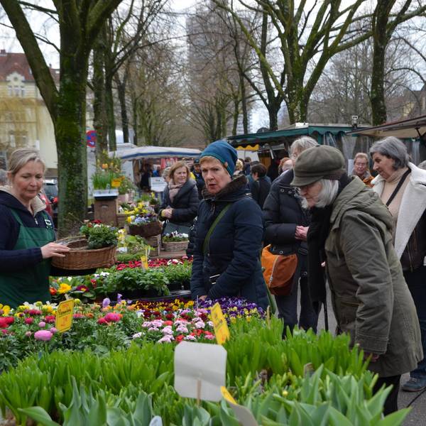 akr20180310Veedels-Check_Riehl_Markt1