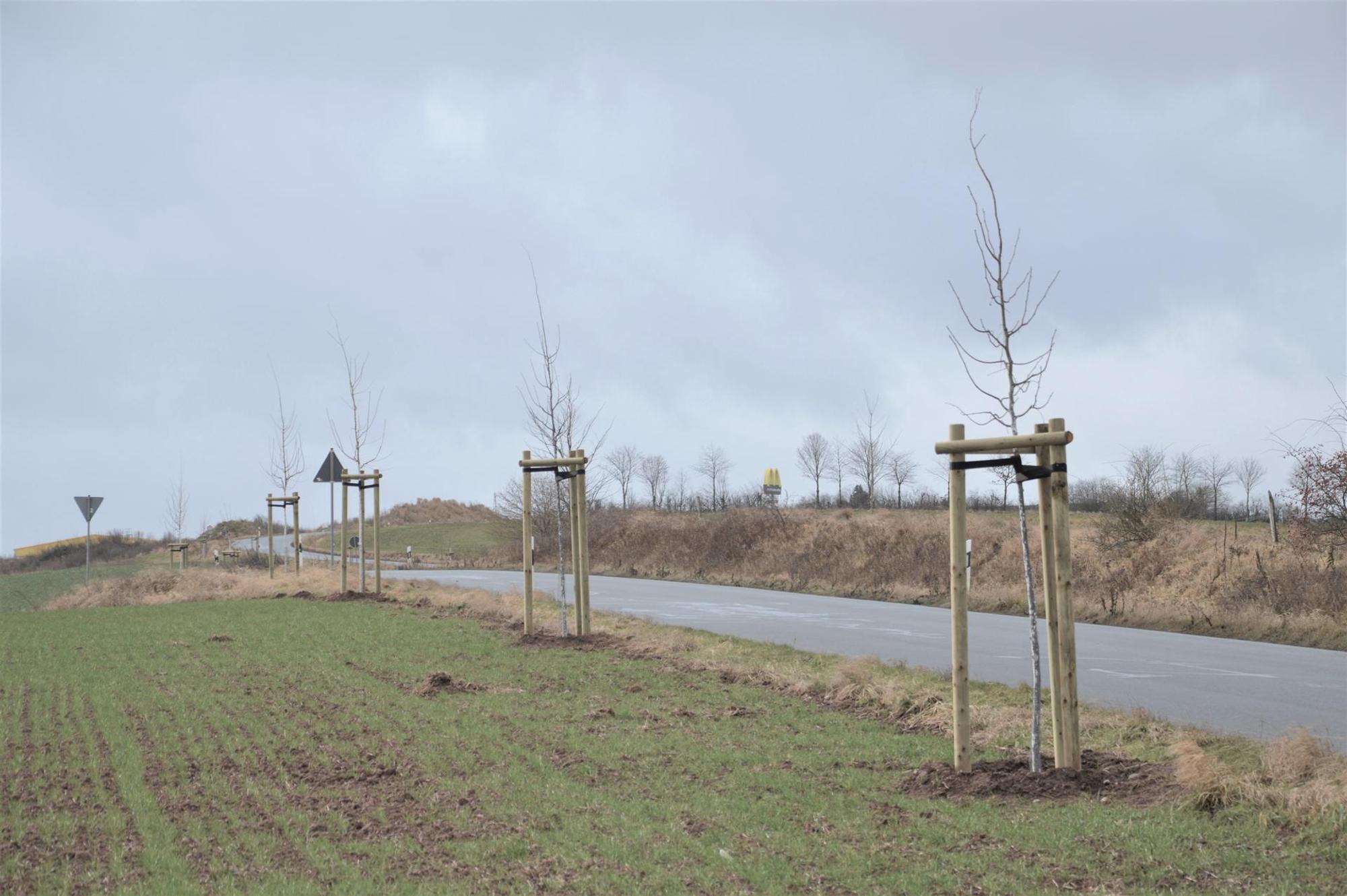 Umweltprojekte Scheven_003