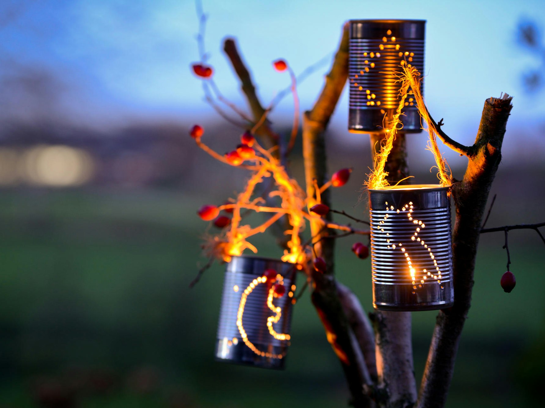 AdobeStock_93122217