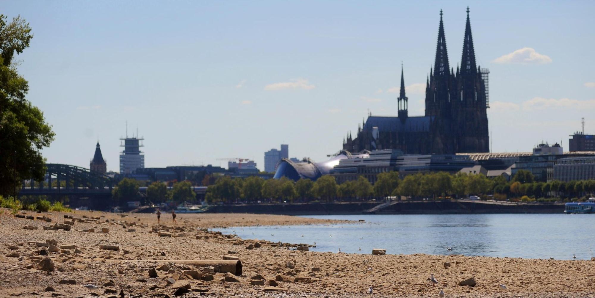 060818Rhein-Hitze22