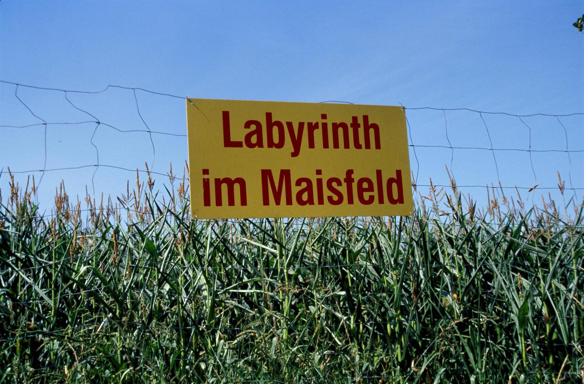Mais Labyrinth imago Steinach