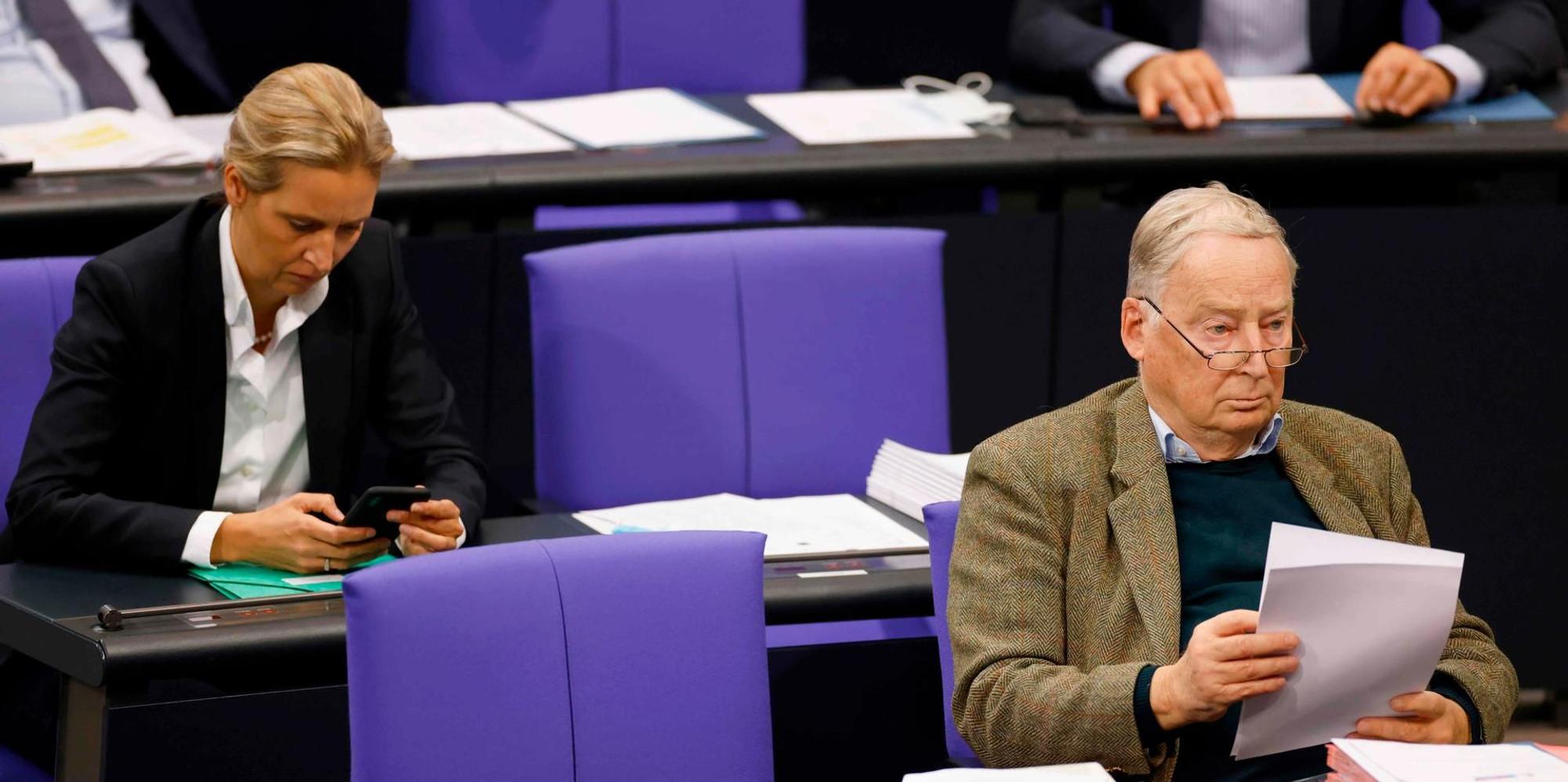 Gauland Weidel