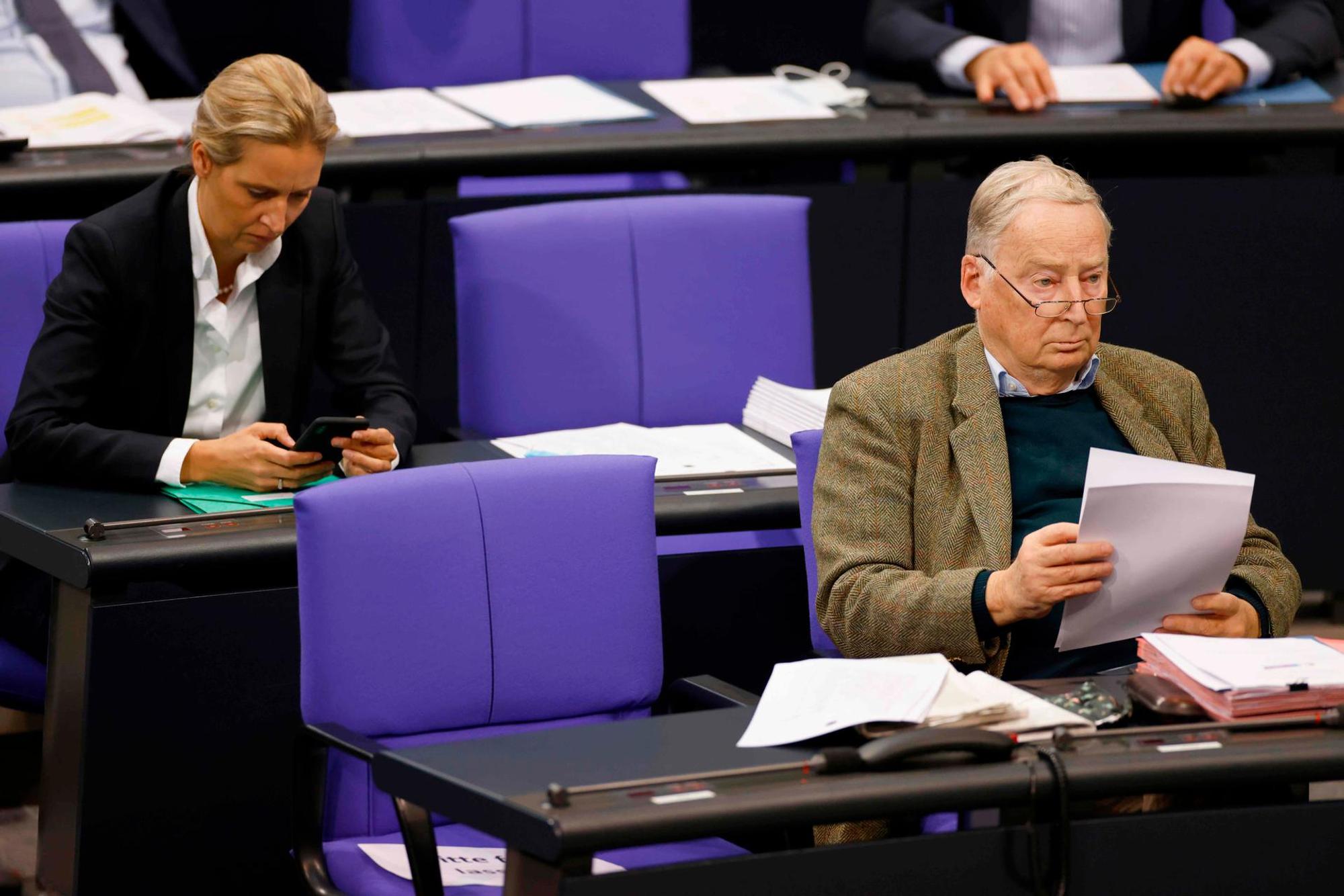 Gauland Weidel