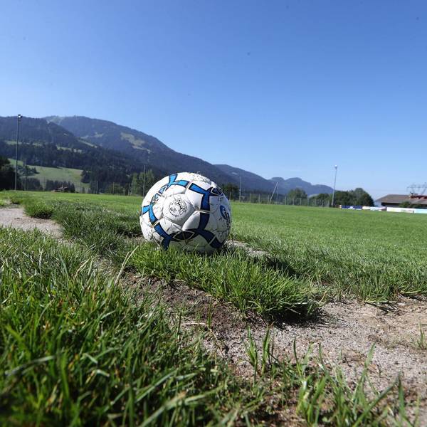 scheffauball