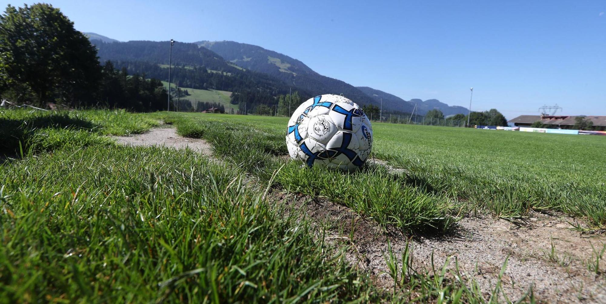scheffauball