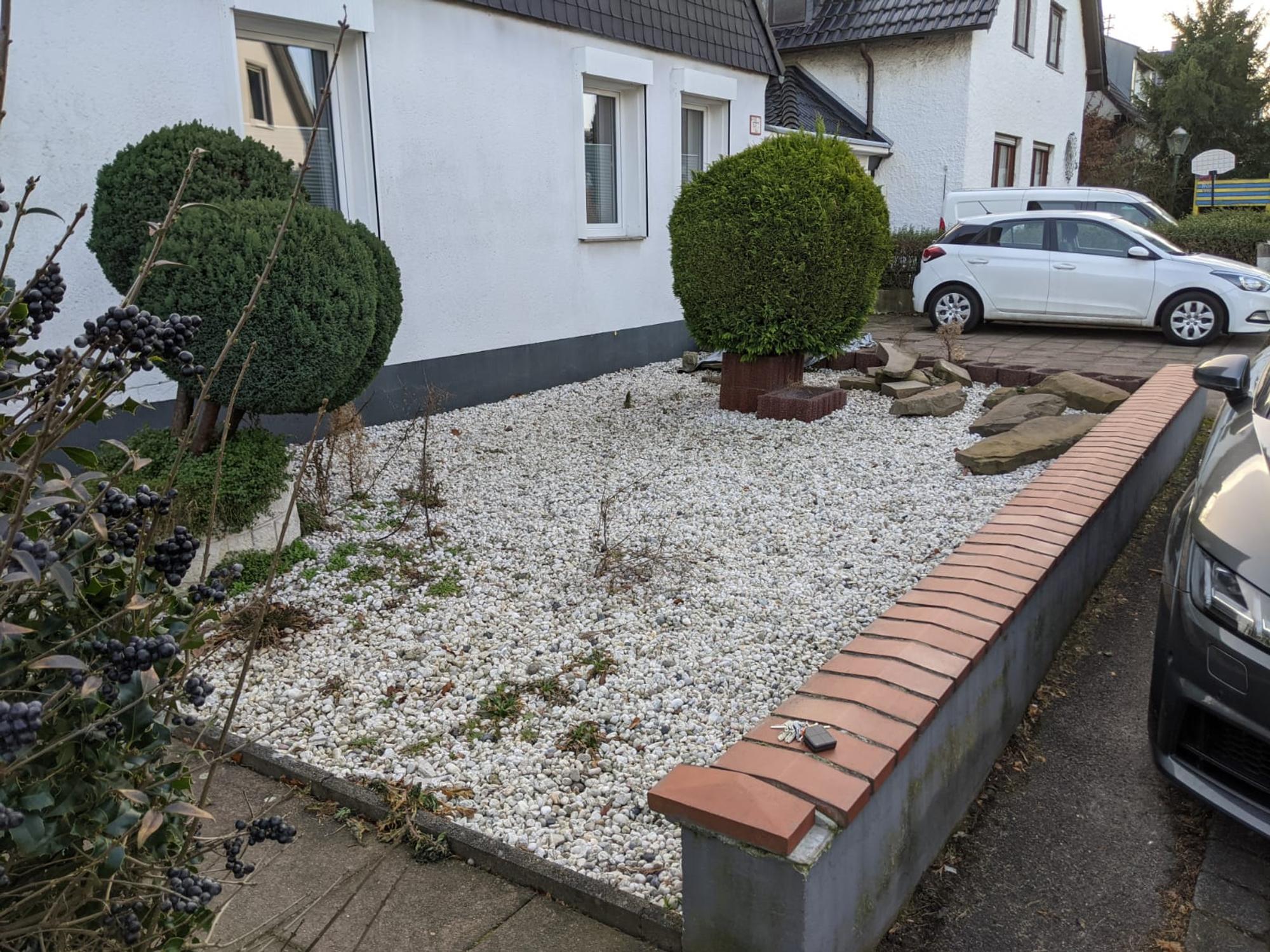 sues Grün3 c vorher Foto Böcher