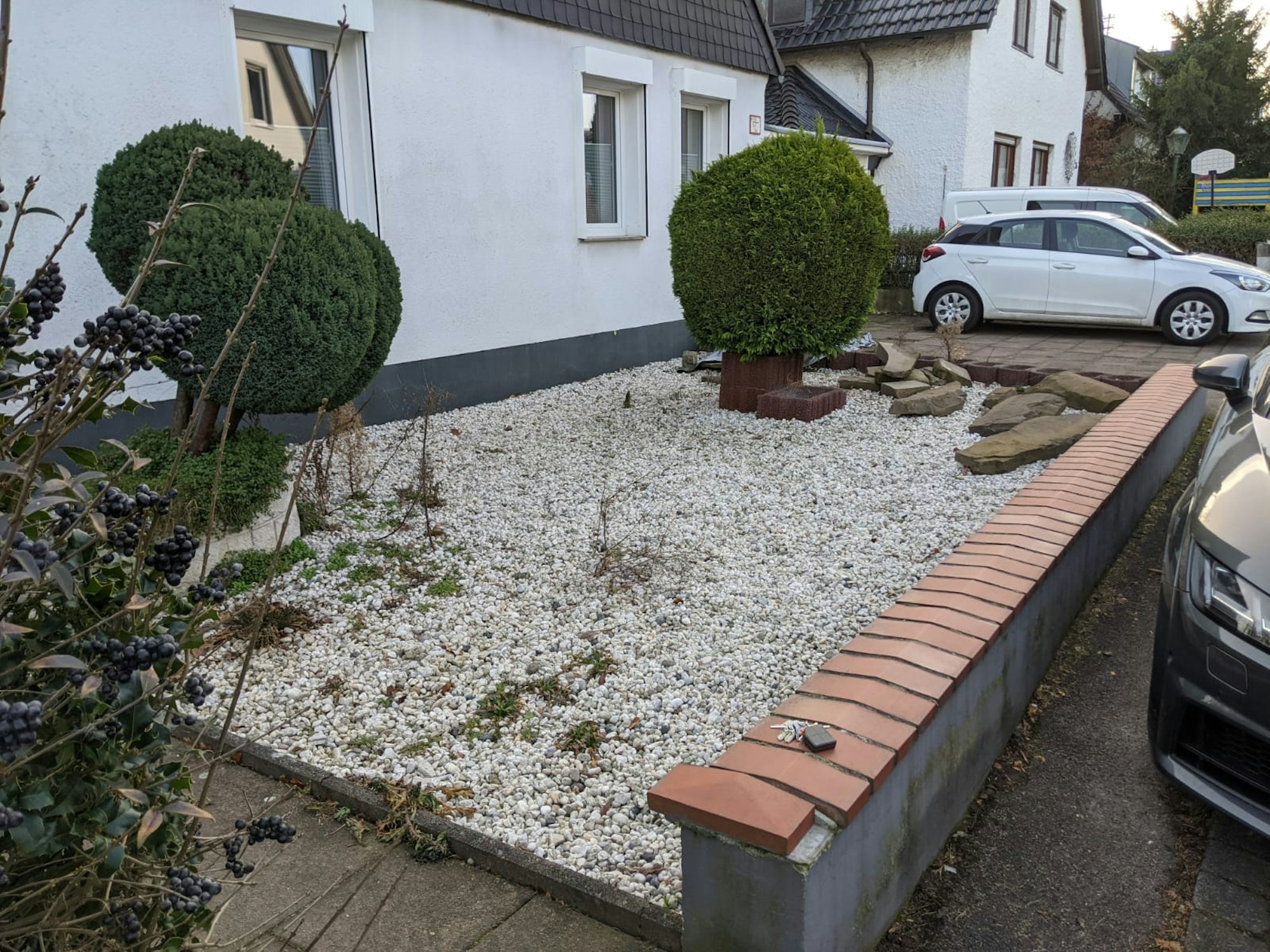 sues Grün3 c vorher Foto Böcher
