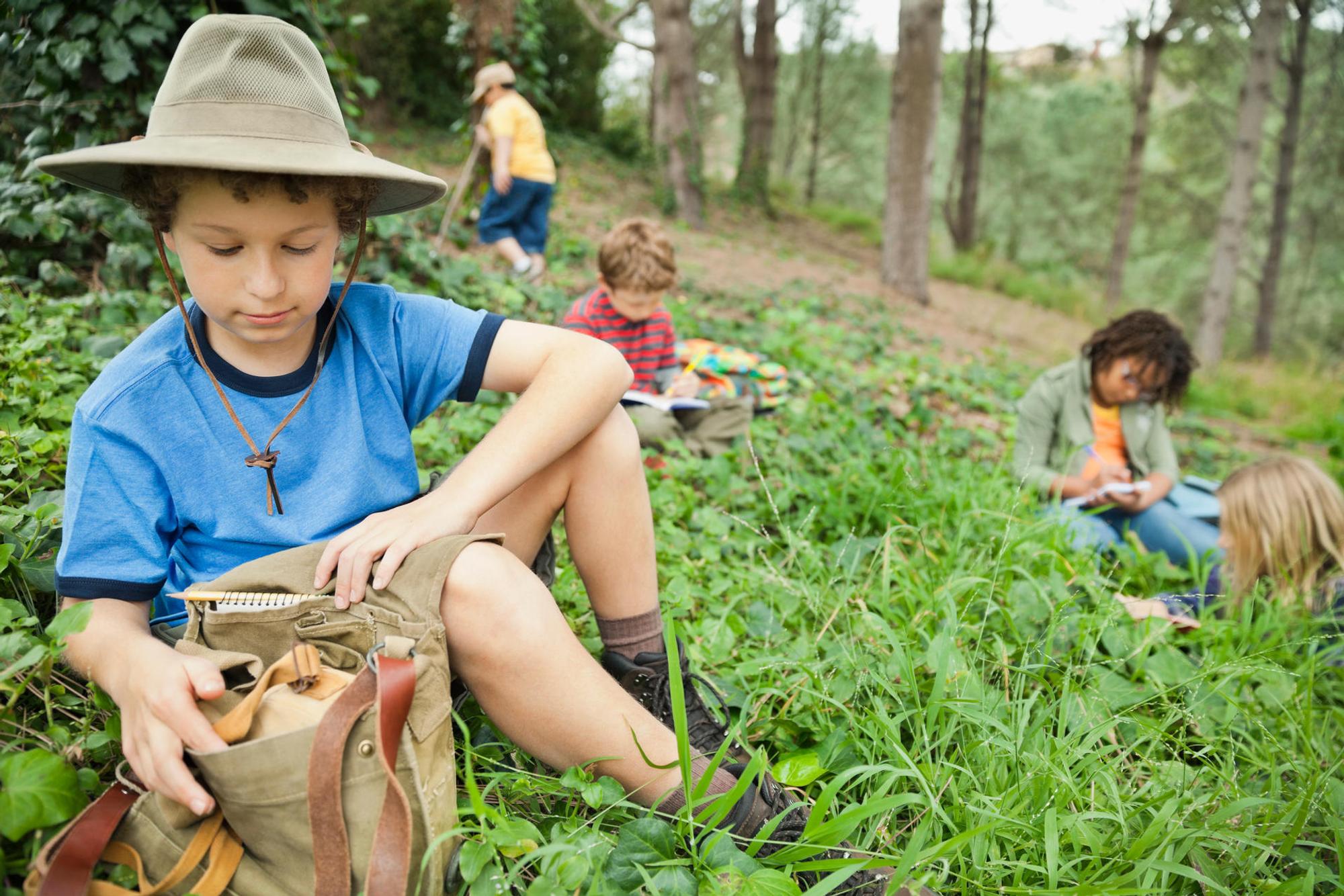 kinder rasen wald wandern kids on tour