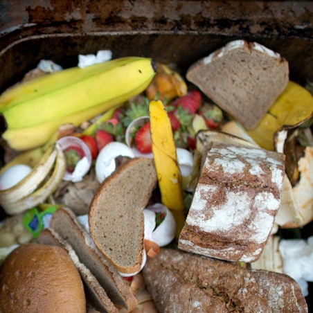 verschwendung lebensmittel müll tonne