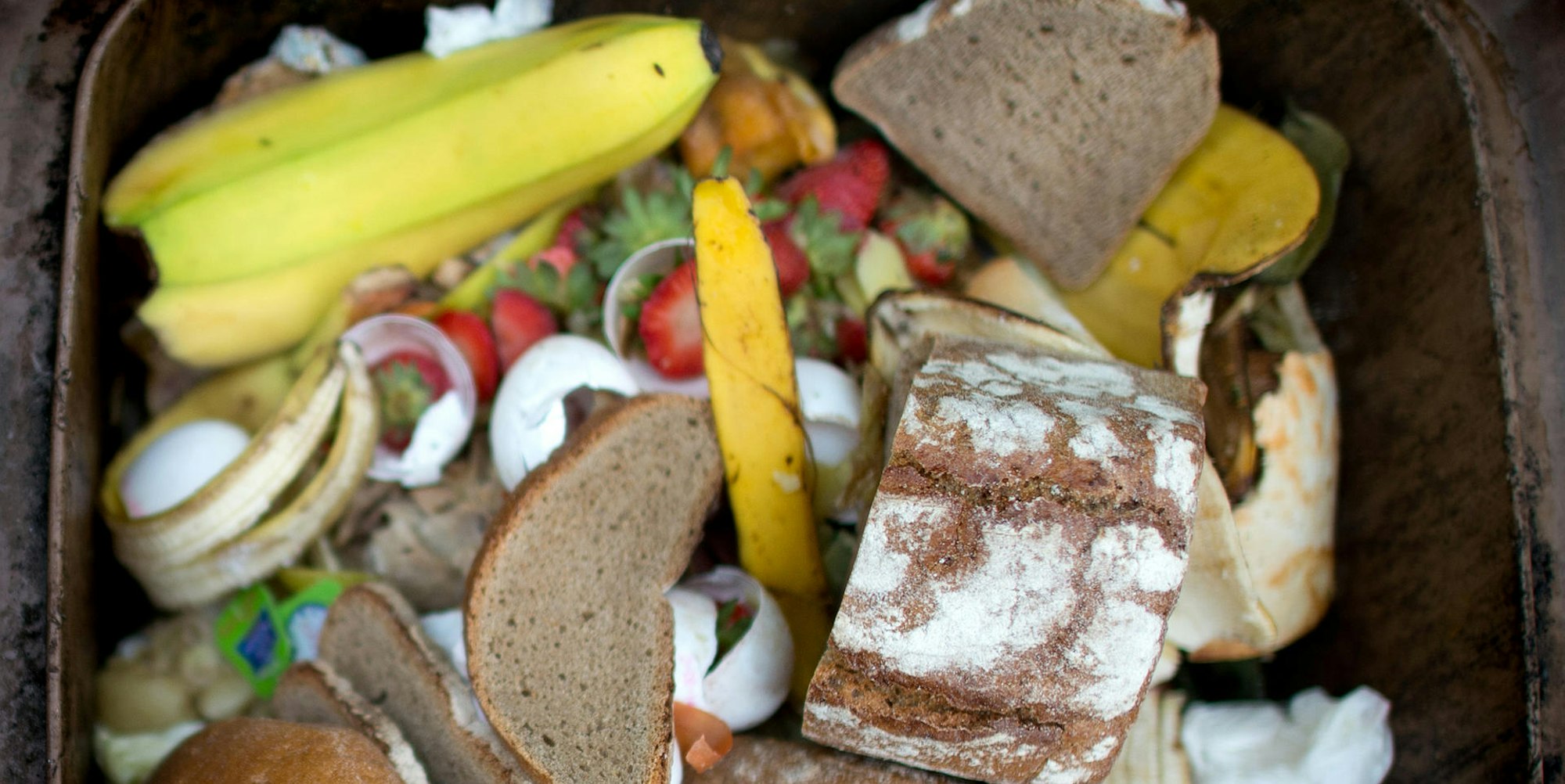 verschwendung lebensmittel müll tonne